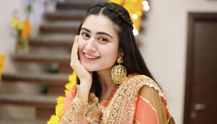 اداکارہ حنا آفریدی — فائل فوٹو