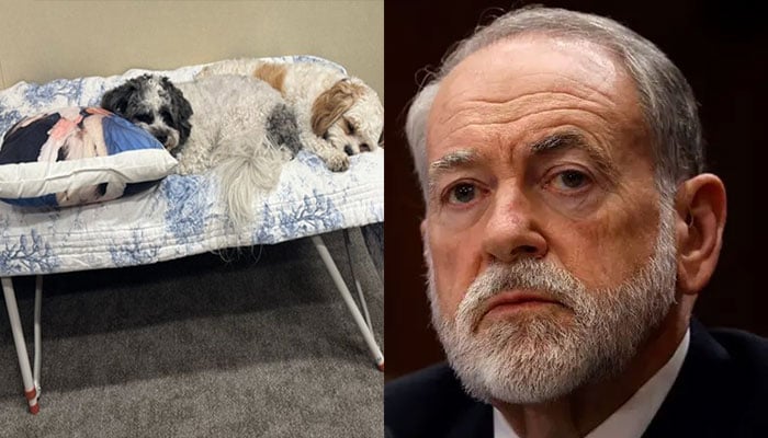 مائیک ہکابی نے امریکا اسرائیل اور ایران جنگ کے دوران اپنی زندگی کی جھلک پیش کرتے ہوئے کہا کہ انہوں نے گزشتہ کئی ہفتے کمانڈ سینٹر میں گزارے۔ فوٹو ایکس