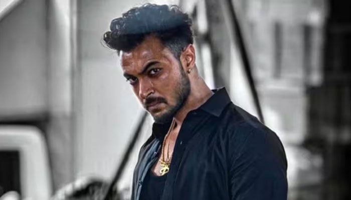 تصویر، بھارتی میڈیا