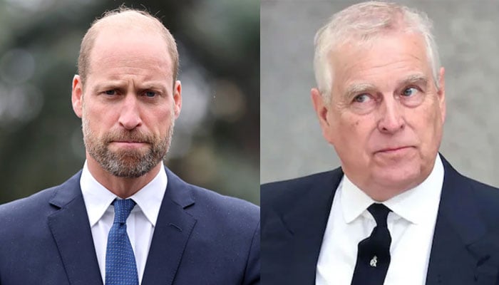 Prince William among very few people to call Andrew after titles loss: Report