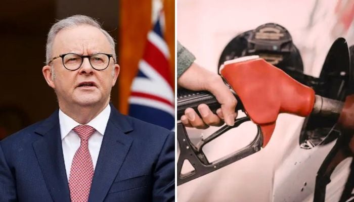 Australia: Anthony Albanese seeks fuel supplies from regional allies as shortages deepen