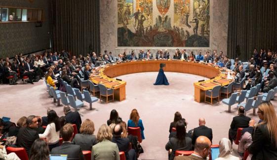 جنگ بندی اتفاق رائے میں لبنان شامل تھا، نمائندہ پاکستان مقیم سلامتی کونسل