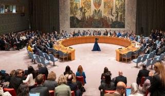 جنگ بندی اتفاق رائے میں لبنان شامل تھا، نمائندہ پاکستان مقیم سلامتی کونسل