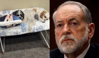 ایران جنگ کے دوران اسرائیل میں امریکی سفیر نے 6 ہفتے کمانڈ سینٹر میں 2 کتوں کے ساتھ گزارے