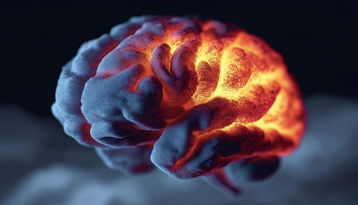 — فائل فوٹو