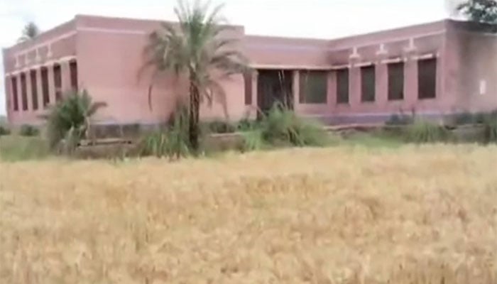 —تصویر بشکریہ جیو نیوز