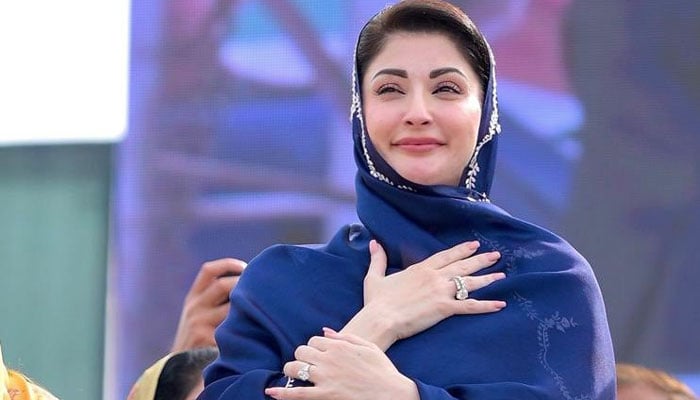 پنجاب کے 69 فیصد افراد کا مریم نواز کی قیادت پر اطمینان کا اظہار