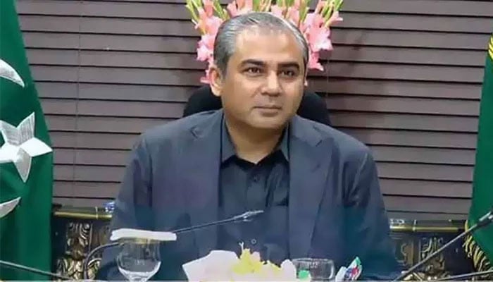 وفاقی وزیر داخلہ محسن نقوی(فائل فوٹو)۔