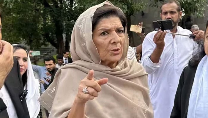 بانی نے سلمان صفدر کو بتایا ہے ان کی آنکھ میں پہلا ٹیکا لگنے کے بعد بہتری آئی تھی، علیمہ خان - فوٹو: فائل