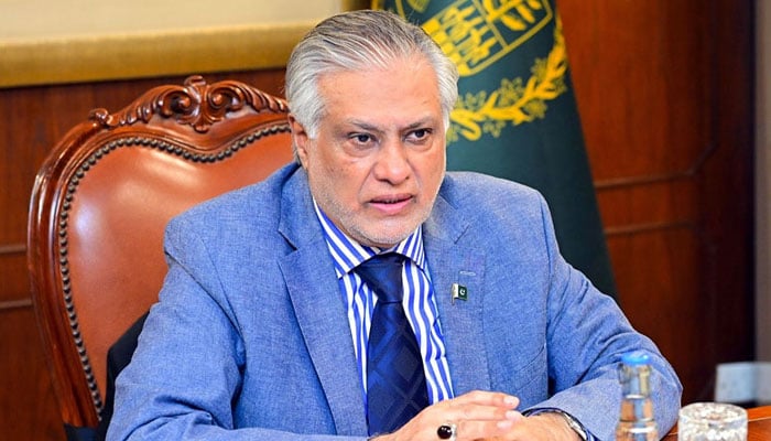 ادائیگیوں کی مؤثر نگرانی کی جائے تاکہ عام آدمی پر بوجھ کم کیا جاسکے، نائب وزیر اعظم اسحاق ڈار - فوٹو: فائل