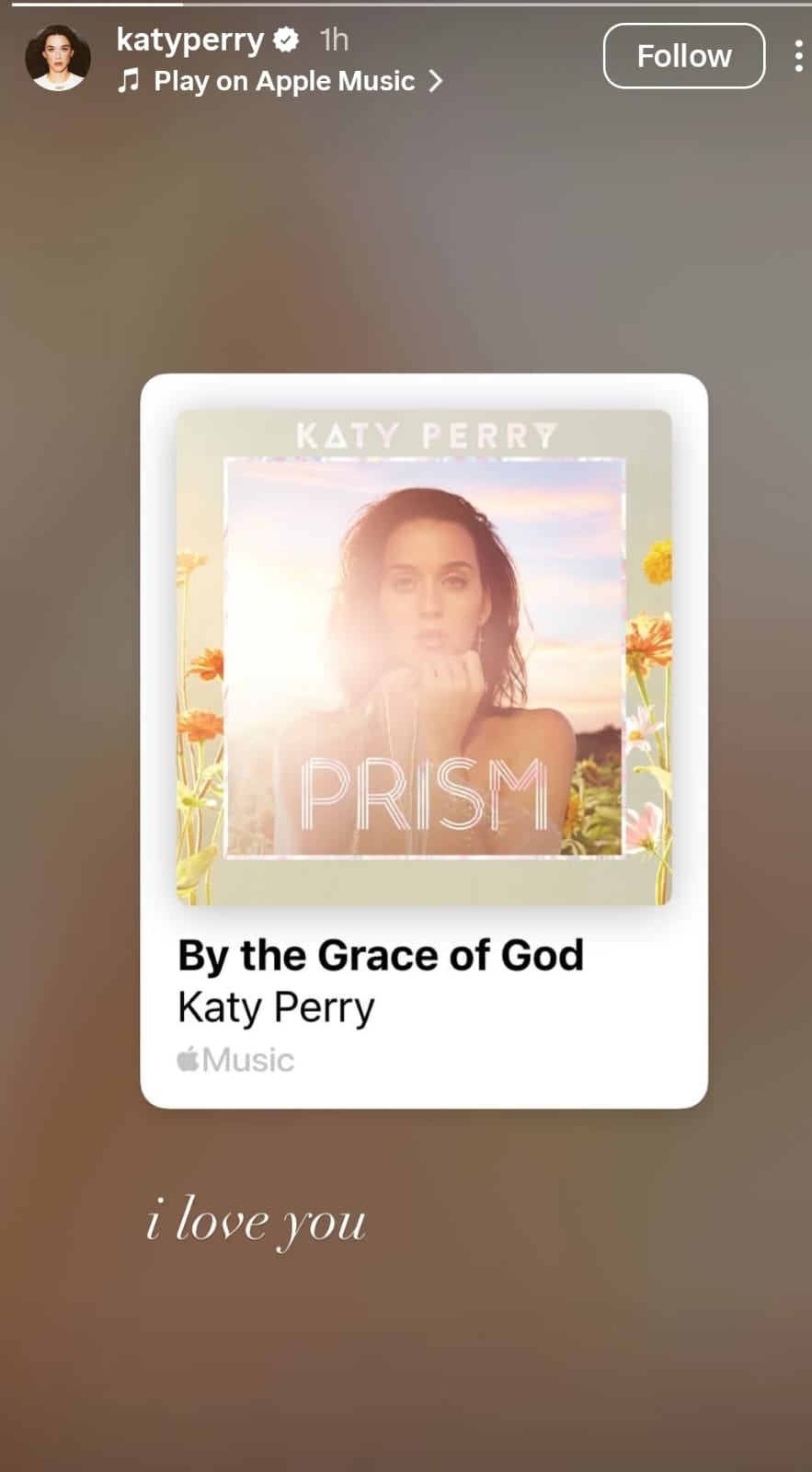 picture credit: Katy Perry/ Instagram