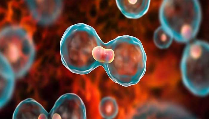 HPV vaccine significantly reduces cancer risk in young men, study