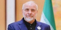 ’پوپ آپ کا شکریہ کہ آپ نے روشنی دکھائی‘