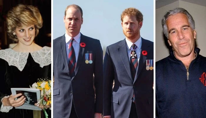 ---فائل فوٹوز