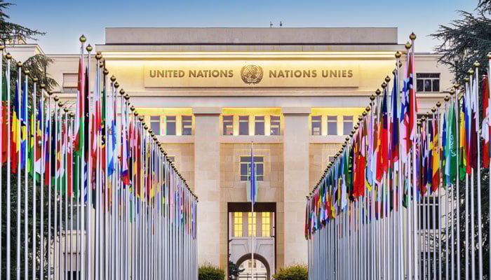 تصویر، غیر ملکی میڈیا