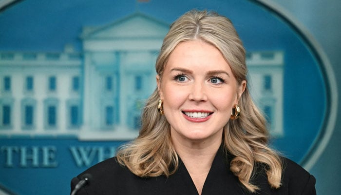 ایران اور امریکا جنگ بندی سے متعلق پاکستان کی سنجیدہ کوششوں کو سراہتے ہیں، کیرولین لیویٹ - فوٹو: فائل