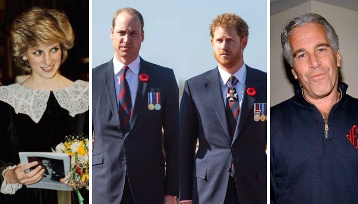 Shock for Prince William and Harry as Princess Diana linked to Epstein