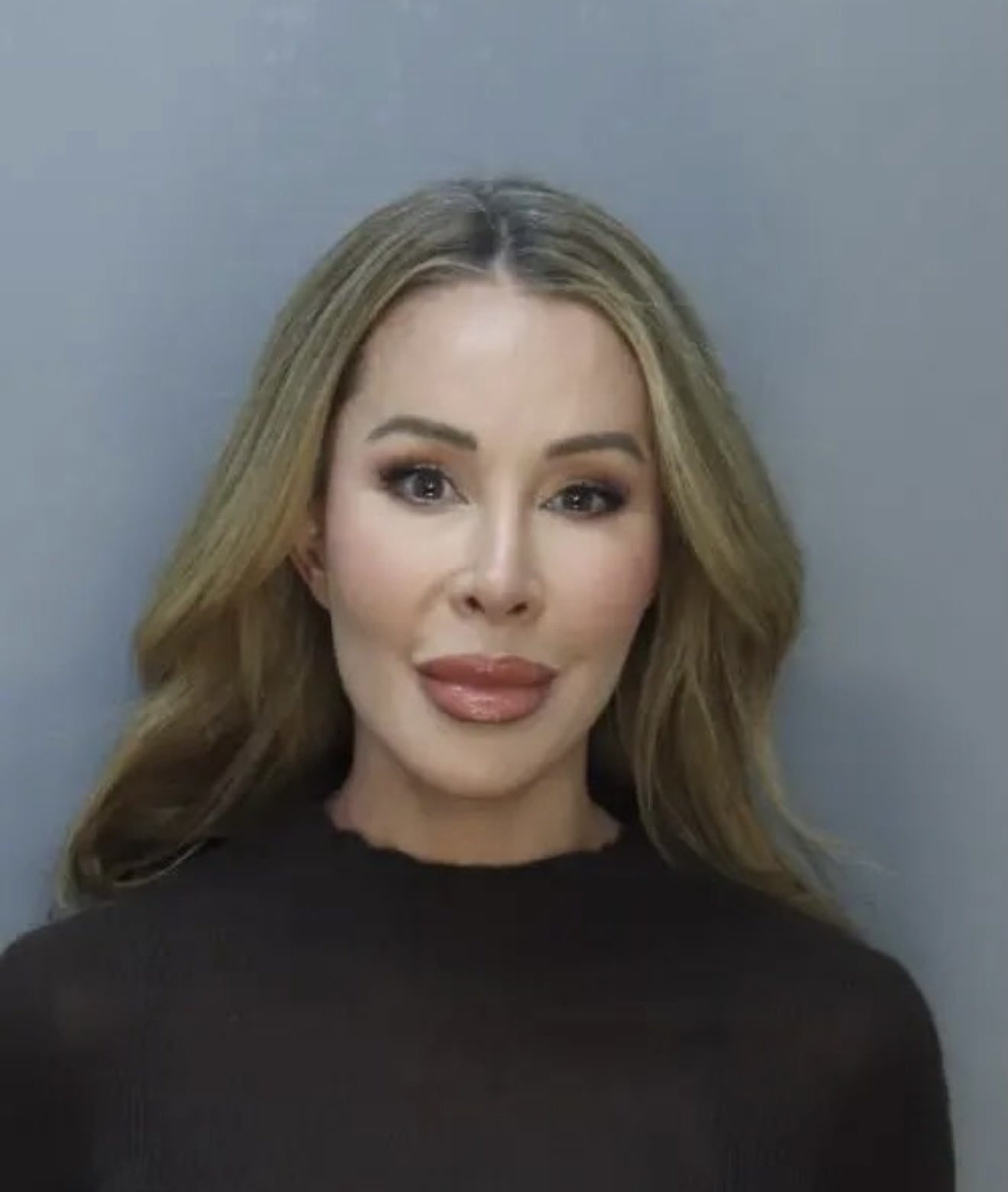Lisa Hochstein mugshot