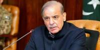  اوور انوائسنگ میں ملوث ملزمان کیخلاف کارروائی تیز کی جائے: شہباز شریف