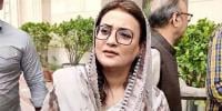 ’رواں ماہ کے آخر تک مزید 100 گرین بیسں چلائی جائیں گی‘