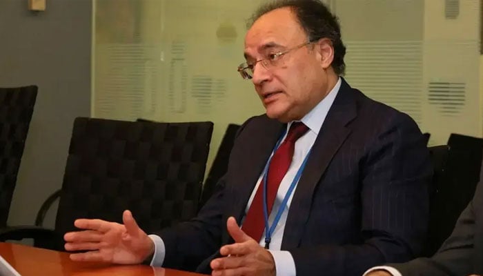 وزیرِ خزانہ محمد اورنگزیب---فائل فوٹو