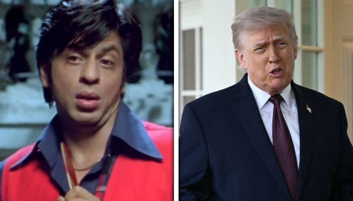 --- فائل فوٹوز