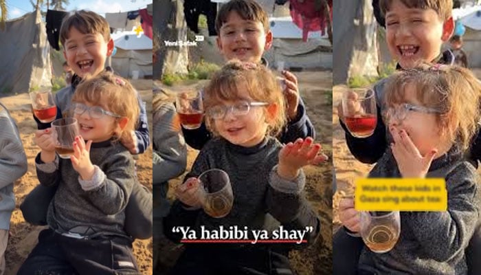 — اسکرین گریب