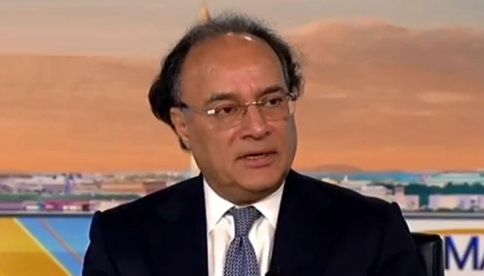 پاکستان خطے میں اہم سفارتی کردار ادا کر رہا ہے: وزیر خزانہ