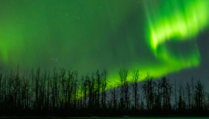 How to see the Northern Lights: Best times and states for tonight’s display