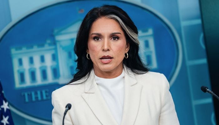 Tulsi Gabbard sends criminal referrals to DOJ over Trump impeachment whistleblower