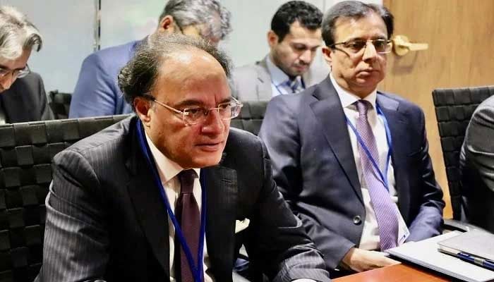 وفاقی وزیرِ خزانہ محمد اورنگزیب---فائل فوٹو