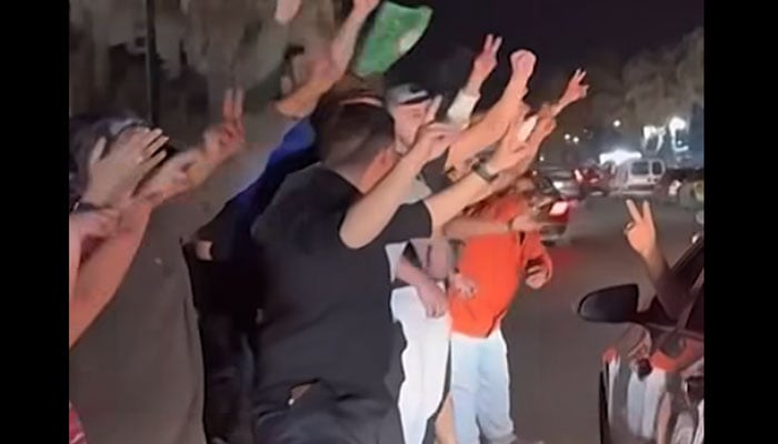 ویڈیو گریب۔