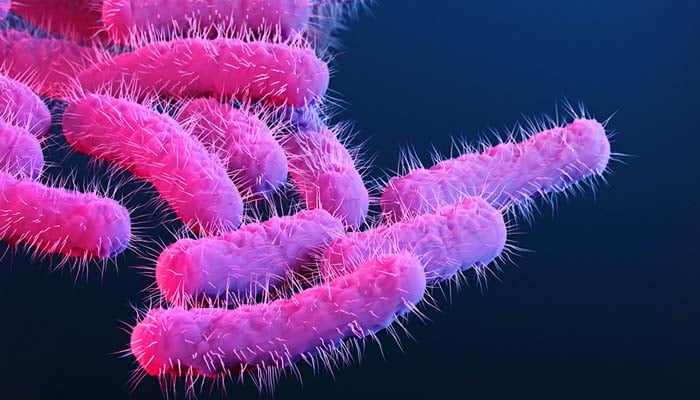 CDC issues warning for significantly increasing cases of Shigella infections in US