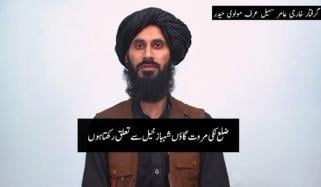 فتنہ الخوارج  کے گرفتار سرغنہ عامر سہیل عرف مولوی حیدر کے اعترافات