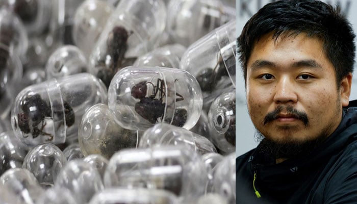 ---فوٹوز بشکریہ بین الاقوامی میڈیا