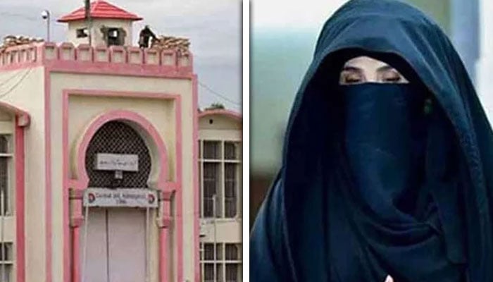 کولاج فوٹو: فائل