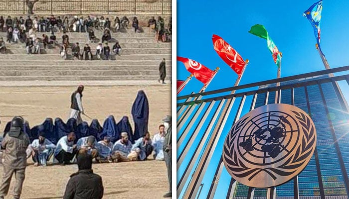 کولاج فوٹو: فائل