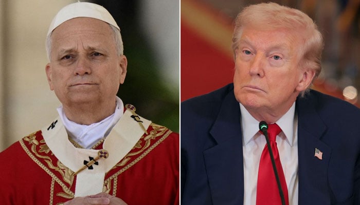 تصویر، غیر ملکی میڈیا