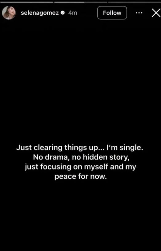 P.C. X/@selenagomezbi - ibtimes