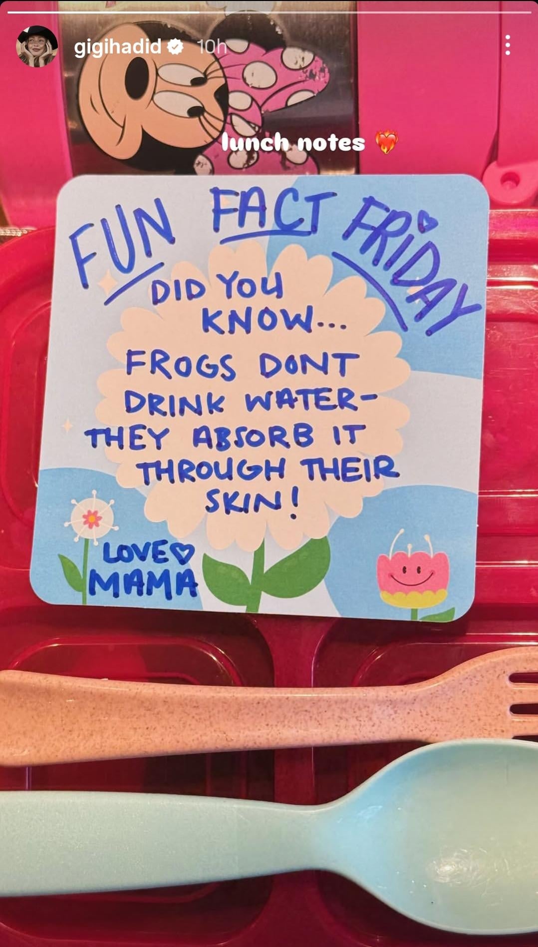 picture credit: Gigi Hadid/ Instagram