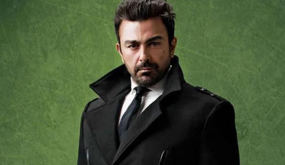 لوگ بھارتی گانے ایک ہفتے بعد بھول جاتے ہیں: شان شاہد