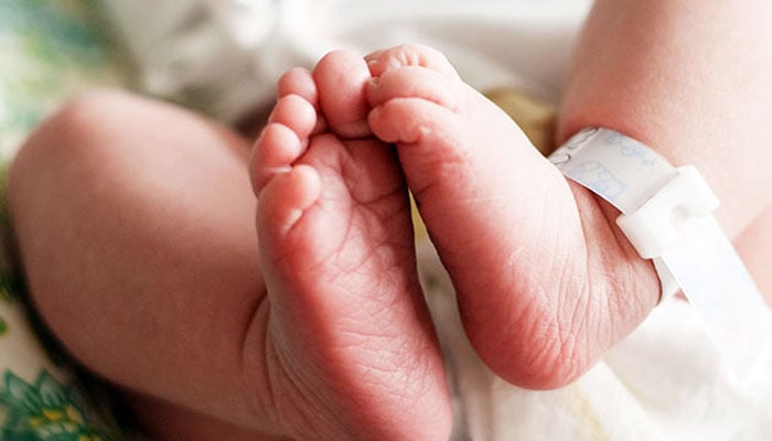 علامتی تصویر۔