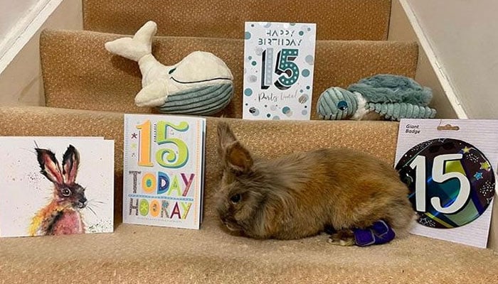 تصویر سوشل میڈیا۔