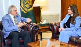 امریکی ناظم الامور کی اسحاق ڈار سے ملاقات، خطے میں امن و استحکام پر گفتگو 