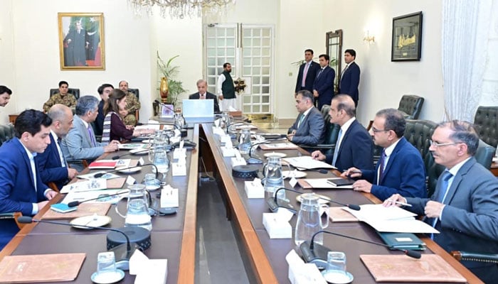 تصویر، پی آئی ڈی