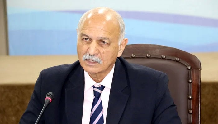 مشاہد حسین سید۔فوٹو: فائل