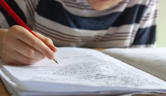 سویڈن: تعلیمی پالیسی میں بڑا یوٹرن، کتابوں و قلم کی طرف واپسی کا فیصلہ