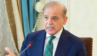 ملک میں الیکٹرک وہیکلز کے فروغ میں تیزی لانے کیلئے اقدامات تیز کیے جائیں: وزیرِ اعظم شہباز شریف