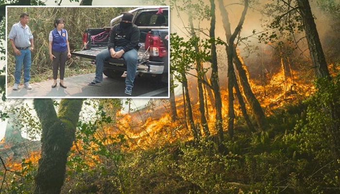 تھائی نوجوان نے بوریت دور کرنے کیلئے جنگل میں آگ لگانے کو مشغلہ بنالیا