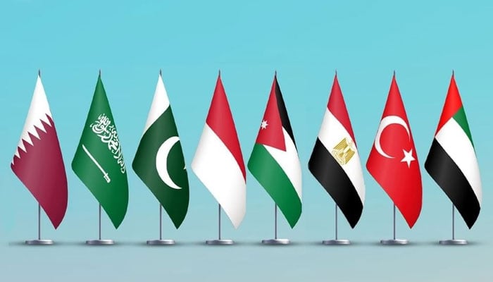 پاکستان سمیت 8 مسلم ممالک کا مسجد اقصیٰ میں اسرائیلی آبادکاروں کی دراندازی پر اظہار تشویش